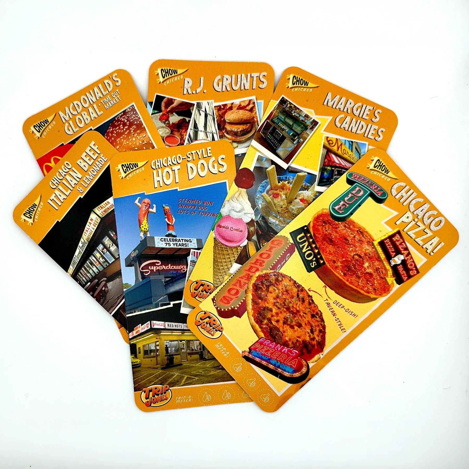 The Kids' Guide to Chicago